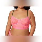 Parade Underwear NWT - Lace Bustier. Photo 3