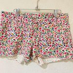 Madewell  floral shorts size 28 super comfy nice fabric 100% cotton Photo 0