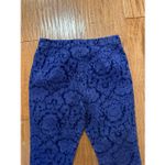 Anthropologie the essential skinny burnout velvet pant purple size 8 Photo 8