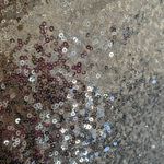 Black Label Silver Sequin Prom Dress Photo 6