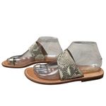 Sam Edelman Maxy Women's Size 7 Beige & Gold Snake Print Slide Flat Sandals VGUC Photo 2