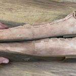 Jack Rogers Jack Roger Lucie Scalloped Suede Ballet Flat Champagne Photo 8