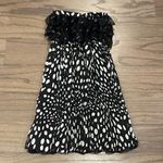 Moon River Black and White Polka Dot Strapless Dress - Size S Photo 0