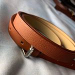 Target Brown Belt Photo 0