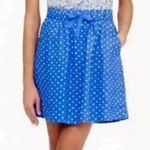 J.Crew Blue & White 100% Linen polka dot high-waisted lined skirt SIZE 8 Photo 1