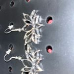 Lotus Silver Earrings Photo 4