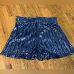 Sadie and Sage  Navy Blue Shiny Shorts Photo 1