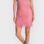 Laundry by Shelli Segal  Women’s Size 12 Vintage Rose Lace Short Sleeve Dress Photo 0