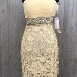 Sue Wong NWT  flower beaded lace dress style N0452 Champagne ball gown prom Photo 0