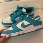 Nike  Dunks  Photo 0