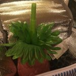 Cotton On New square makeup bag or lunch box in stripe Photo 6