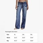 NEW Flamingals Low Rise Cargo Wide Leg Drawstring Flap Pocket Y2K Flare Pants 2X Blue Photo 2