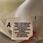 Ann Taylor  Cream Striped Detail Dress Size 4 Photo 4