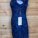 Mingda's Dress Floral Applique V Photo 3