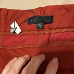 Sanctuary NWTâârust coloredâelasticâwaistâankleâzipâstretchyâpants/leggings Photo 3