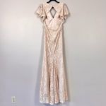 Fame and Partners Blush Pink Chelsey Lace Maxi Dress Size 8 Photo 8