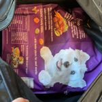 Nike  Athletic Photo 7