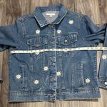 Veveret Daisy Photo 7