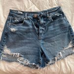 American Eagle Outfitters Shorts Photo 0