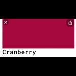 Torrid 1 Cranberry asymmetrical Moto vest Photo 2