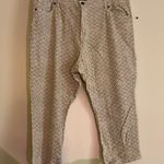 Architect Capri pants Blue Size 18W Photo 3