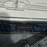 Silver Jeans  Co. Beau Eco Mid Rise Destructed‎ Girlfriend Jeans Size 24 Photo 7