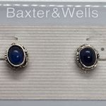 NWT Baxter & Wells Silver & Blue Stud Earrings Photo 0