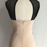 Easyfashions Tight Lace Bodycon Dress NWT Photo 7