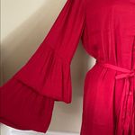 Naked Zebra  Bold Red long sleeve dress size large Photo 1