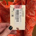 Alex Marie Vibrant orange lace overlay dress Photo 6