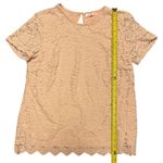 Teddi Rose Pink Floral Lace Layered Short Sleeve Shirt Size Large Photo 4