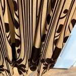 Brown and Tan V Photo 4