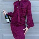 Michael Kors Designer Holiday Dress Photo 0