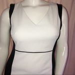 Jones New York sleeveless crocodile skin dress Photo 1