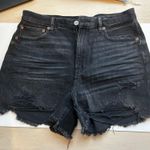 American Eagle Black Shorts Photo 0