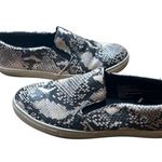Steve Madden Size 10 Womens Casual Snake Print Slip-On Sneakers Shoes Photo 3