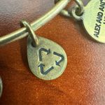 ALEX AND ANI  Aunt Charm‎ Bangle Bracelet Gold Tone American Flag Energy Photo 8