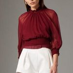 Gilner Farrar Dell Chiffon Blouse Ruby Burgundy Maroon Size Small Purple Photo 0