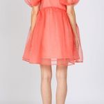 Beulah  TAN Fine Organza Mini Dress w/Slip, Size s Dress Size M New w/Tag $168 Photo 3