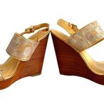 Coach  Jezebel Metallic Logo Wood Heel Open Toe Buckle Wedge in Gold Silver 8.5 Photo 6