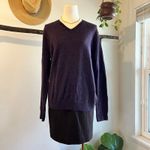 Banana Republic  Purple Merino Wool V Neck Pullover Sweater Unisex Size Large Photo 4