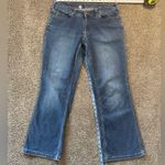 Carhartt Women’s  Stretch Jeans Size 10 Short Photo 0