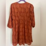 Daniel Rainn  Terracotta Long Sleeve Dress Photo 4