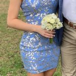 Windsor Periwinkle  Dress Photo 0