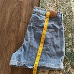 American Eagle Outfitters Short Photo 4