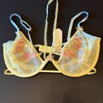 For Love & Lemons Pastel Papillon Butterflies
Underwire mesh bra 38DD, NWT Photo 5