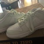 Nike Low Dunks Photo 3