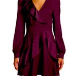 Parker
Nancy Long-Sleeve Ruffle
Combo Mini Dress Size 6 Photo 1