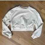 Everlane  Organic Cotton Cropped Crew Sweatshirt in Cream Size Small Photo 0