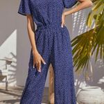 Blue Polkadot Vneck Jumpsuit Size L Photo 1